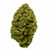 Cannatonic Small buds