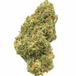 BLUEBERRY