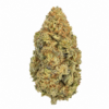 Bacio Gelato Nano 9