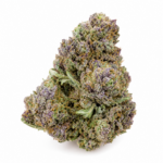 PURPLE HAZE
